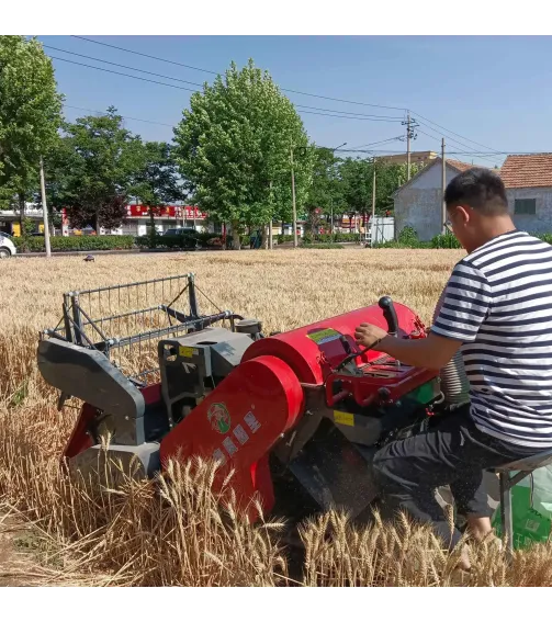 4LZ-1.0 Small combine harvester